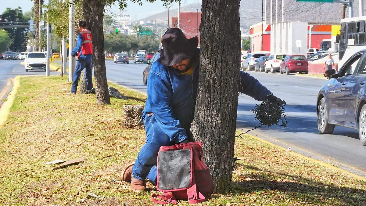 Regresa la iluminación navideña a Torreón