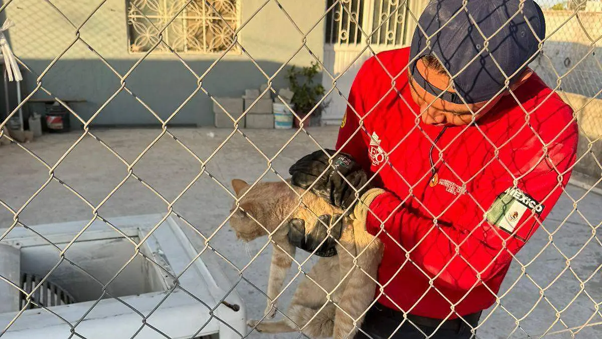 WhatsApp Image 2025-11-10 at 12.52.22