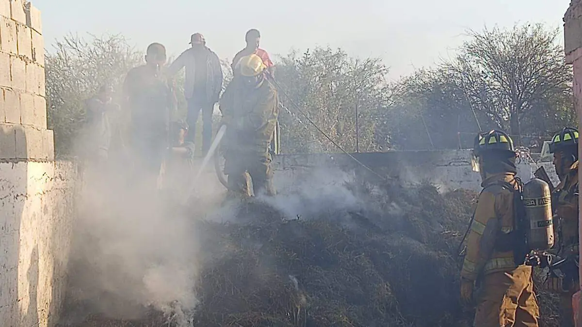 WhatsApp Image 2025-11-10 at 9.14.43 PM