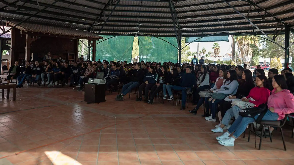 WhatsApp Image 2025-11-12 at 15.22.47