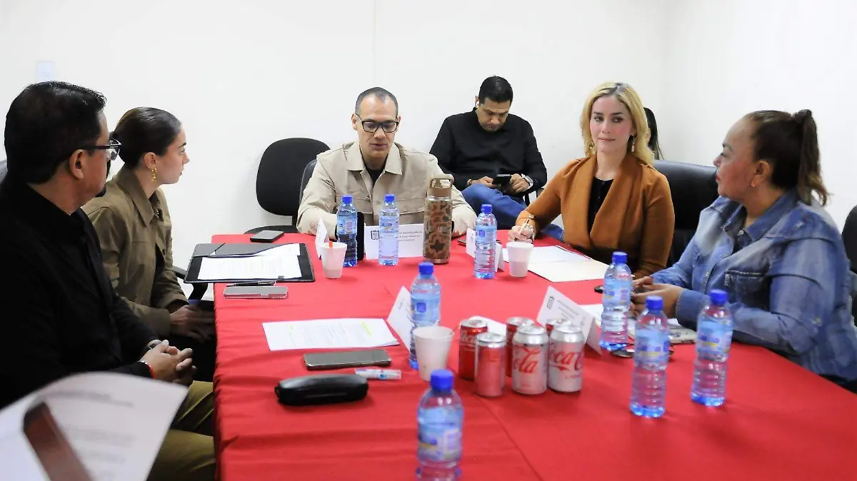 WhatsApp Image 2025-11-12 at 15.12.15