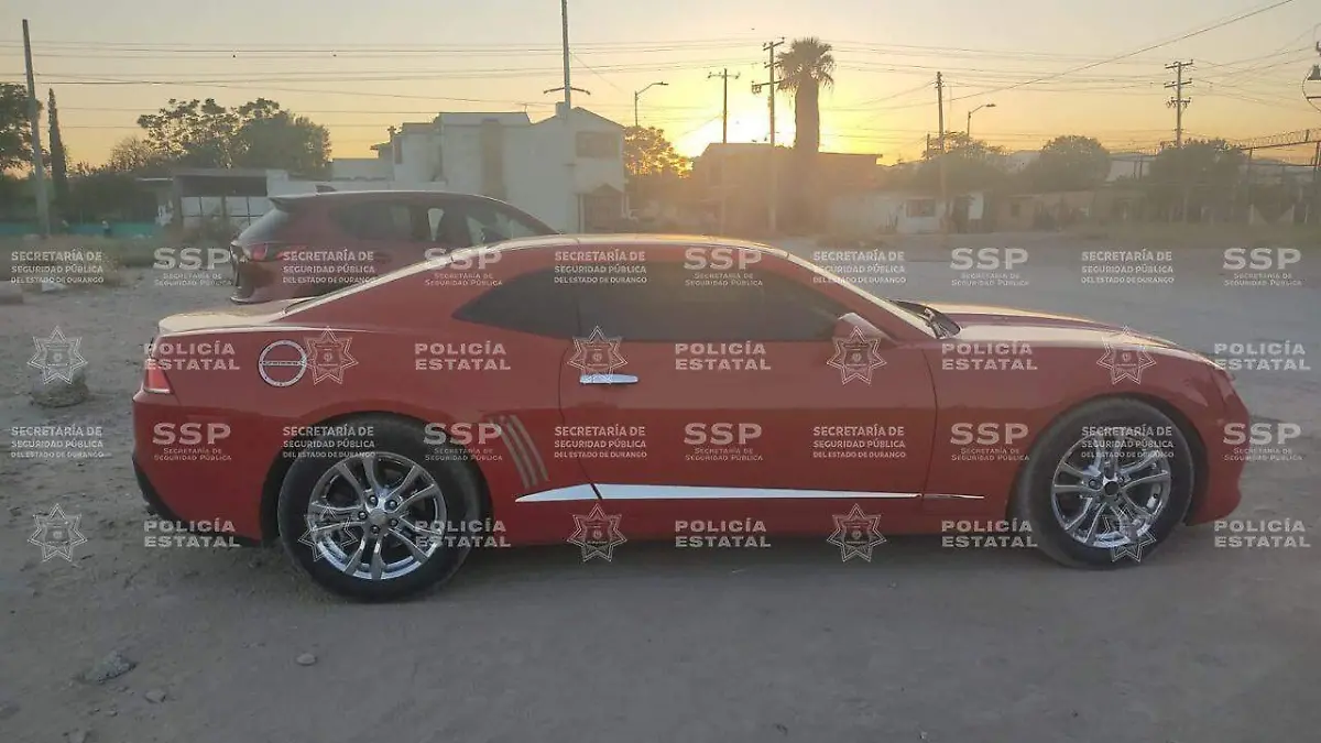 WhatsApp Image 2025-11-13 at 11.27.32