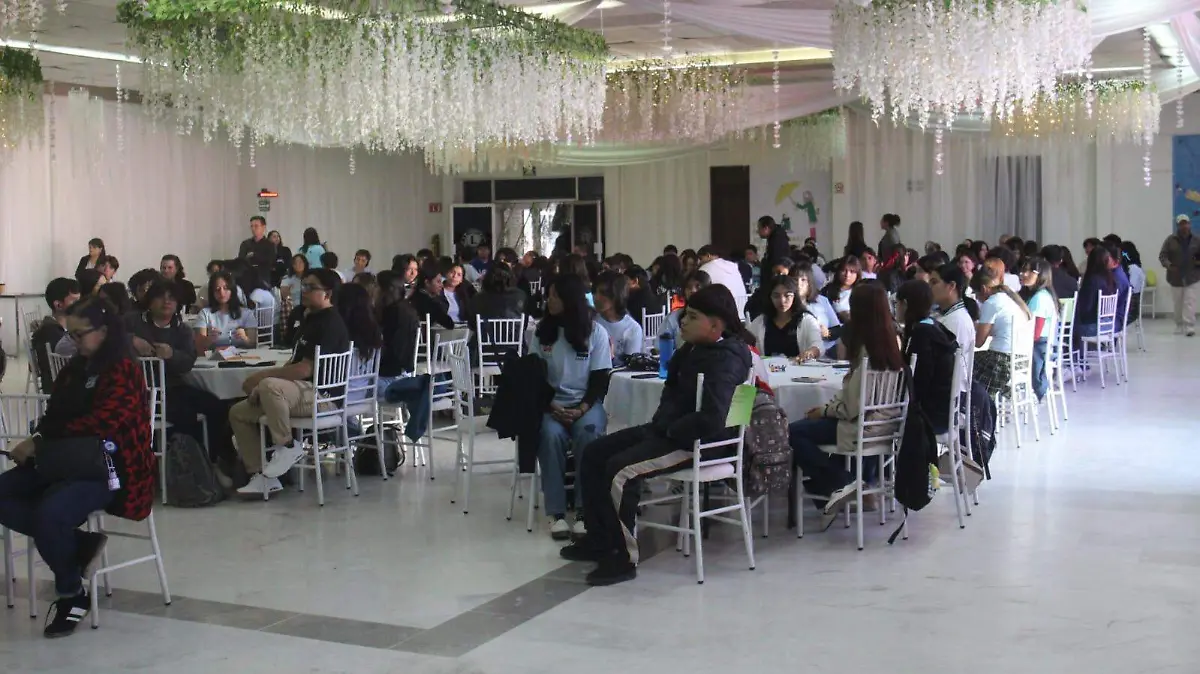 WhatsApp Image 2025-11-13 at 14.27.39