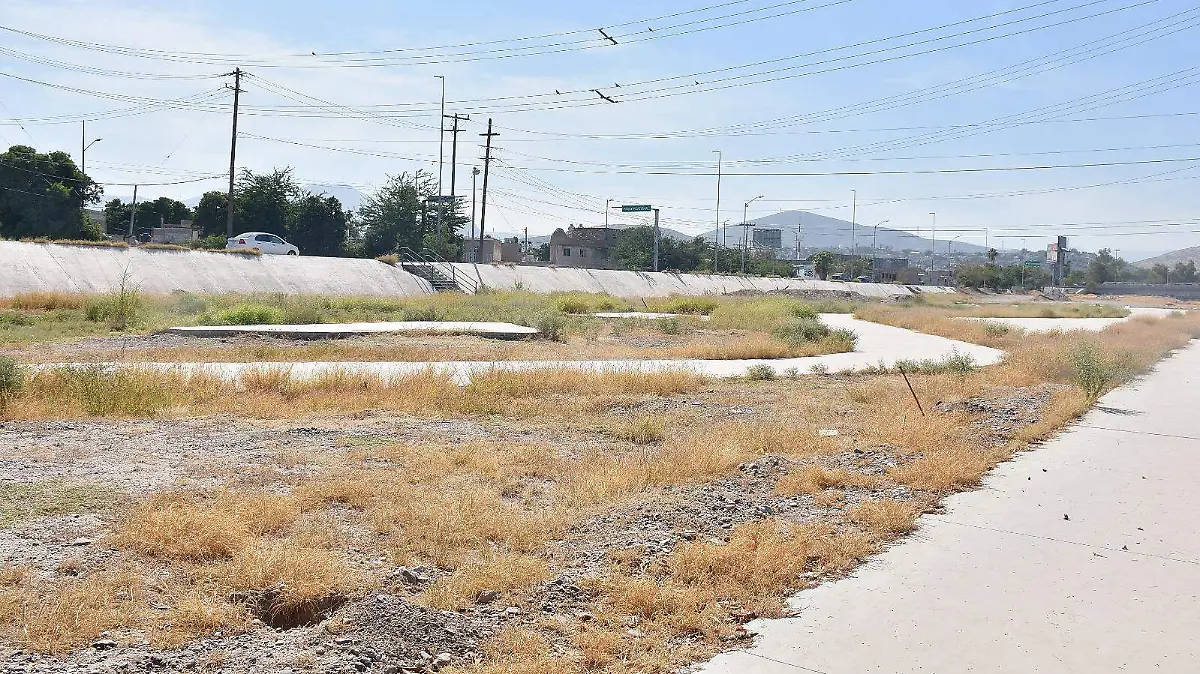 WhatsApp Image 2025-11-13 at 4.05.00 PM