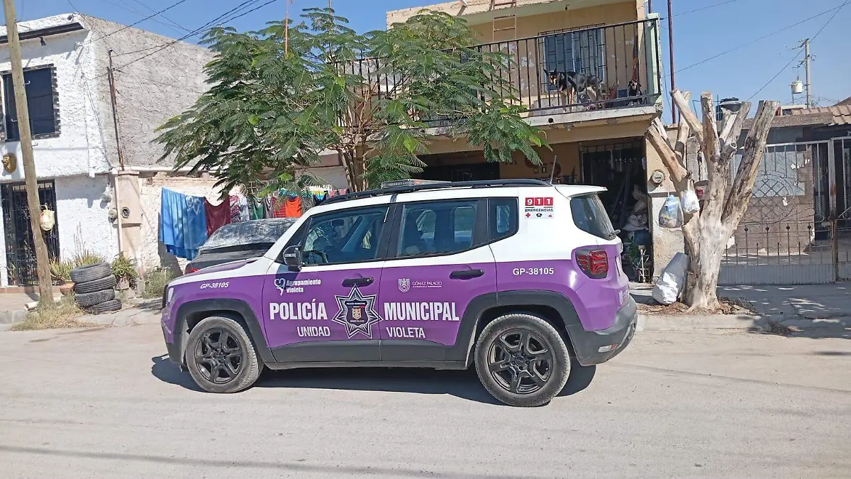 WhatsApp Image 2025-11-14 at 09.57.50