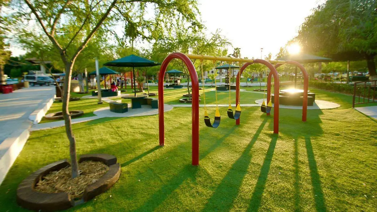 WhatsApp Image 2025-11-14 at 13.55.28