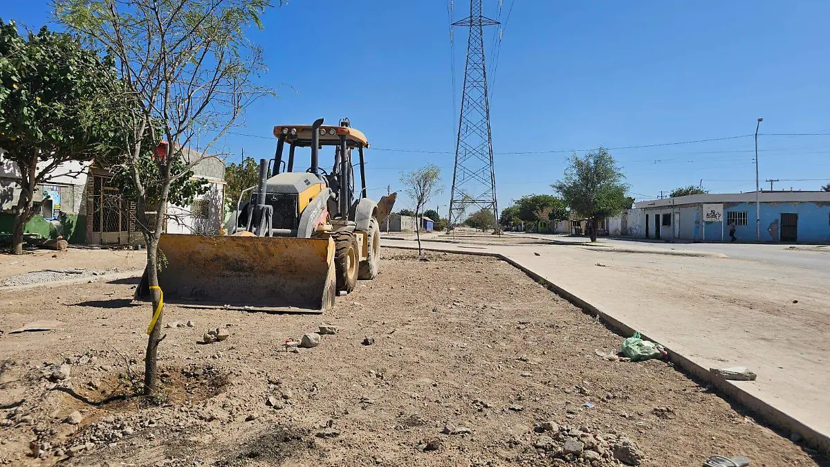 WhatsApp Image 2025-11-14 at 15.57.50