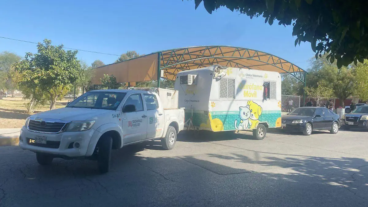 WhatsApp Image 2025-11-18 at 14.00.43