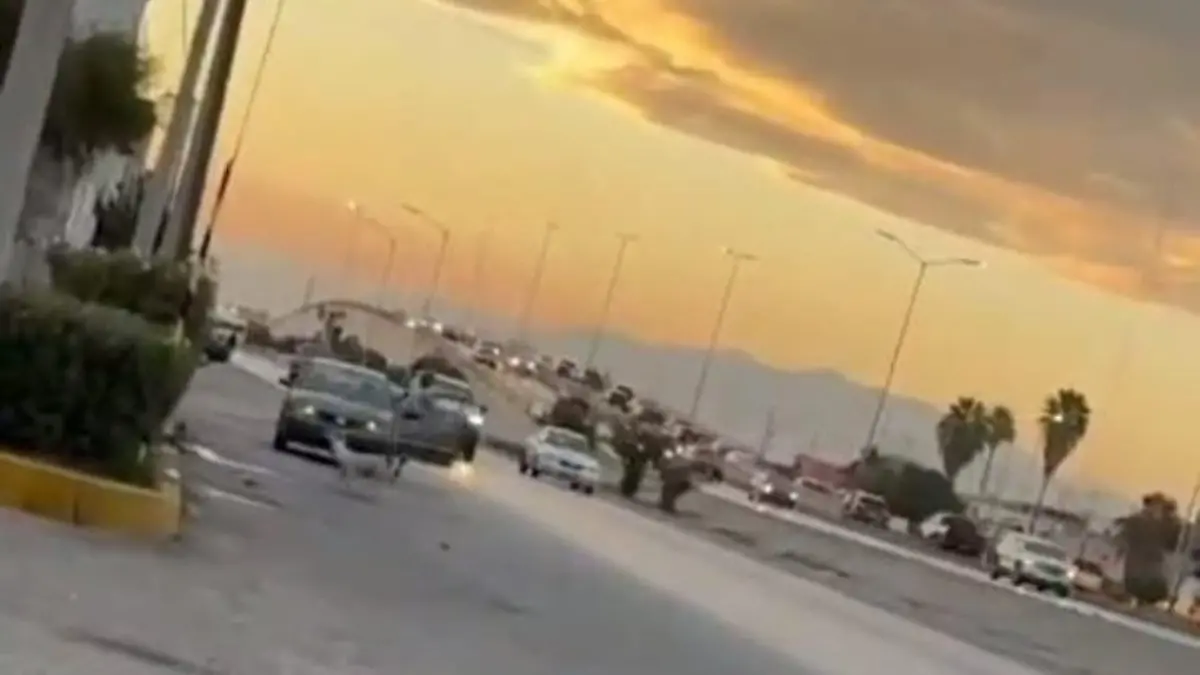 26e6e7fe-f431-475b-952e-39d2473d337f