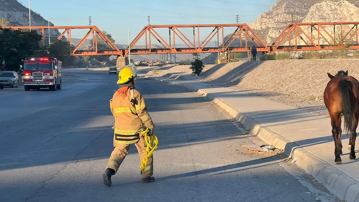 b52ea85c-8e30-44d2-8dd4-74f7e3792167