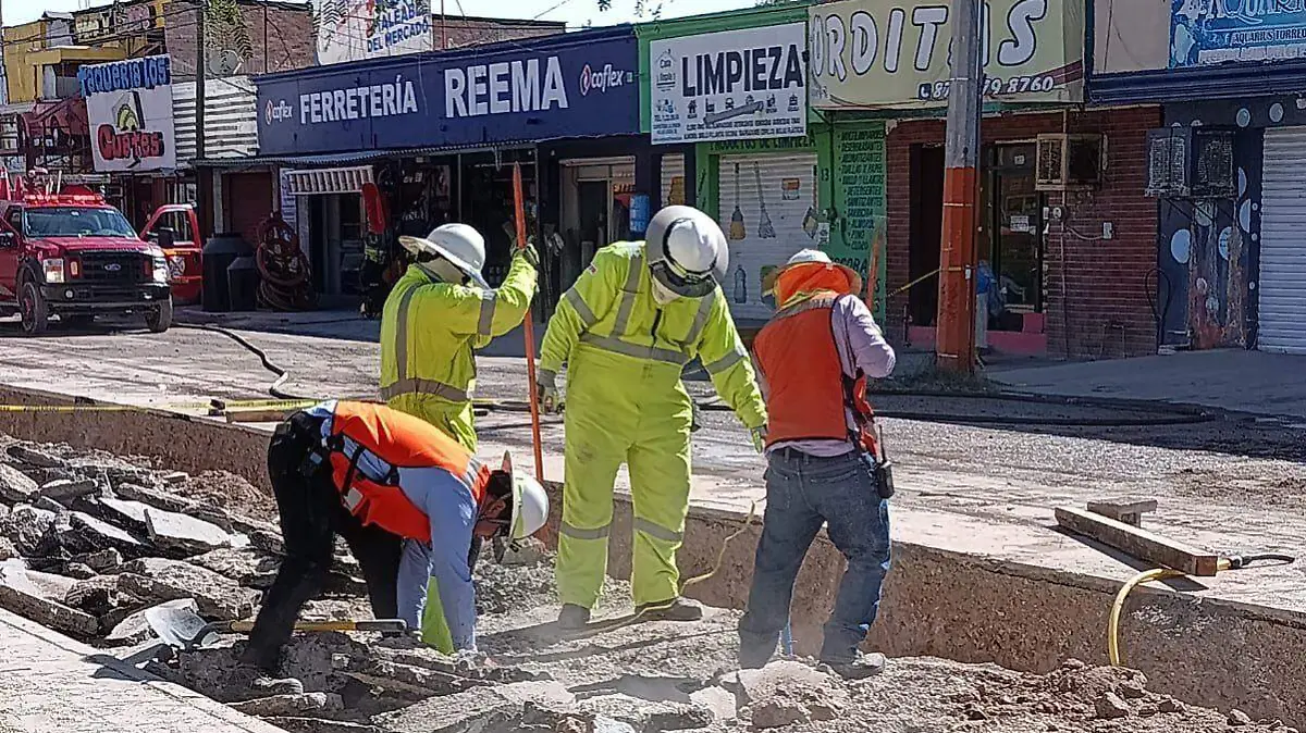 WhatsApp Image 2025-11-22 at 1.42.01 PM