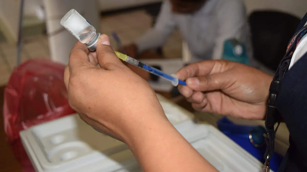 WhatsApp Image 2025-11-22 at 5.24.26 PM