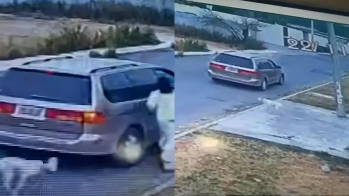 Abandonan a perro Saltillo