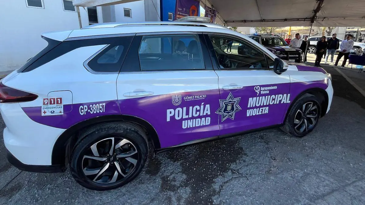 Día Internacional de la Erradicación de la violencia de género en Gómez Palacio