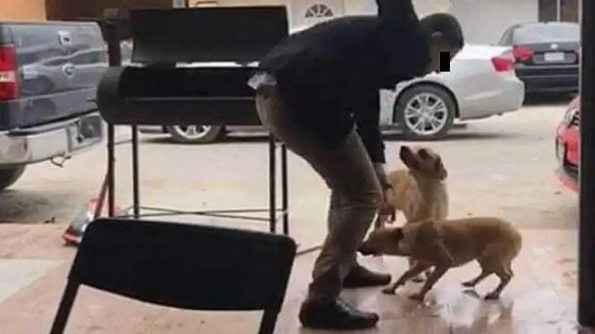 WhatsApp Image 2025-11-26 at 10.10.55