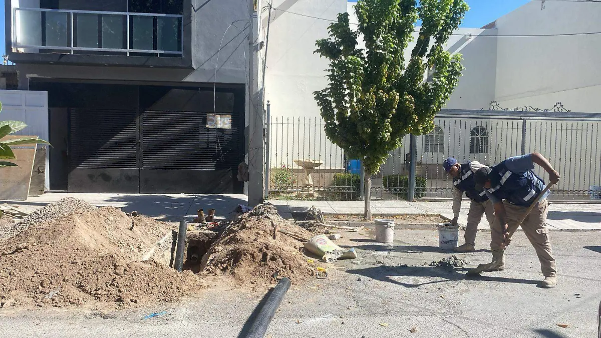 WhatsApp Image 2025-12-01 at 14.13.48