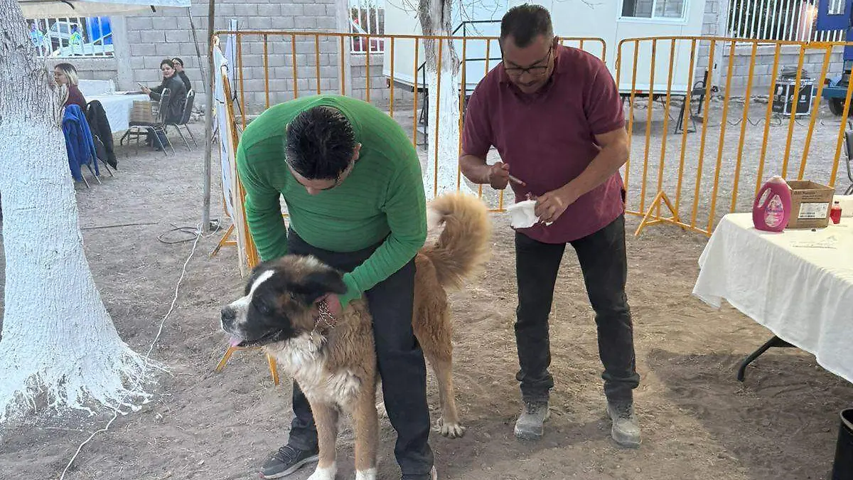 WhatsApp Image 2025-12-01 at 6.24.45 PM