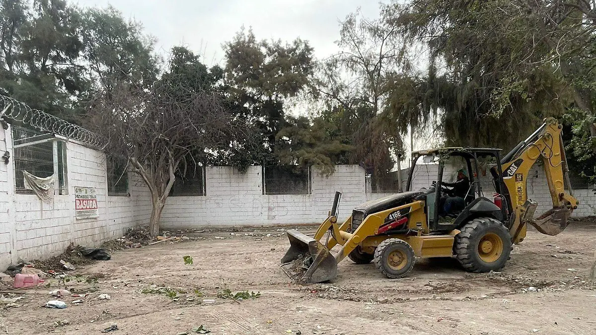 WhatsApp Image 2025-12-02 at 4.00.57 PM