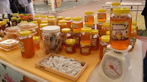 WhatsApp Image 2025-12-05 at 6.10.16 PM