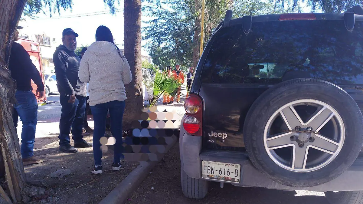 WhatsApp Image 2025-12-08 at 12.49.40