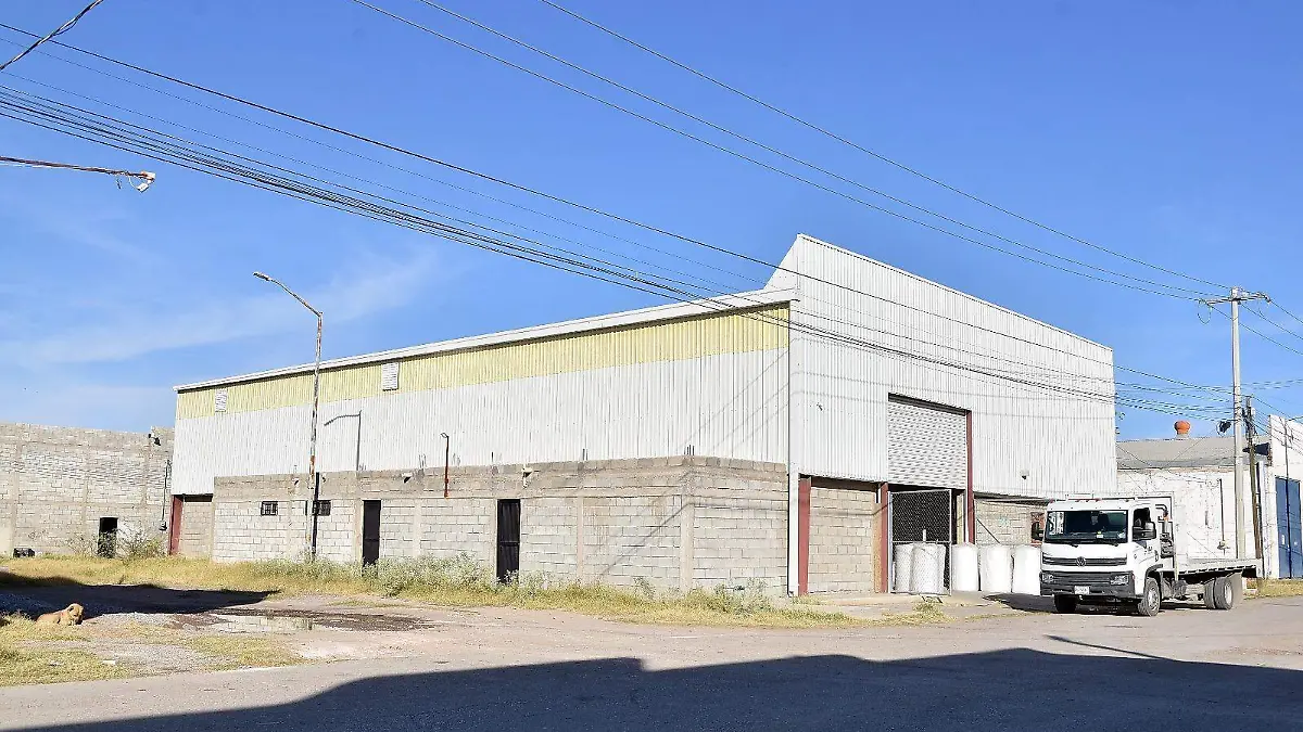 WhatsApp Image 2025-12-09 at 14.12.46