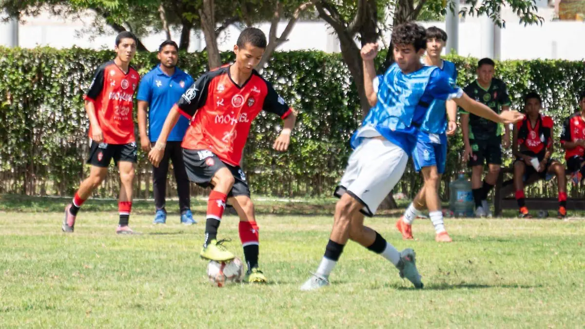 WhatsApp Image 2025-12-10 at 4.30.41 PM