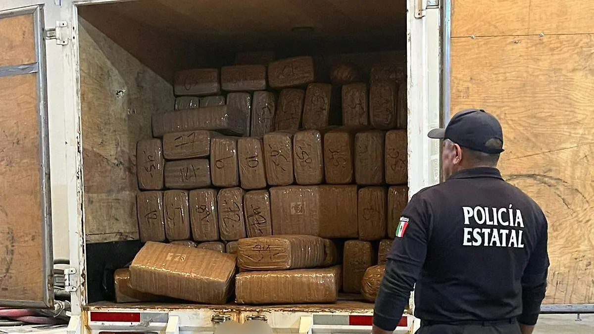 WhatsApp Image 2025-12-10 at 5.56.28 PM