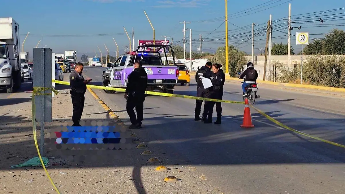 WhatsApp Image 2025-12-12 at 15.16.56