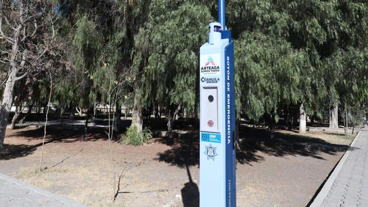 WhatsApp Image 2025-12-12 at 15.02.33