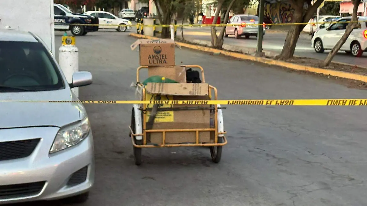 WhatsApp Image 2025-12-12 at 8.15.03 PM (1)