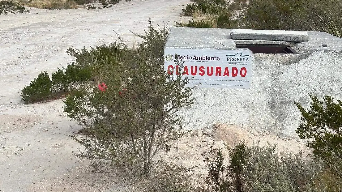 WhatsApp Image 2025-12-15 at 09.25.13 (1)