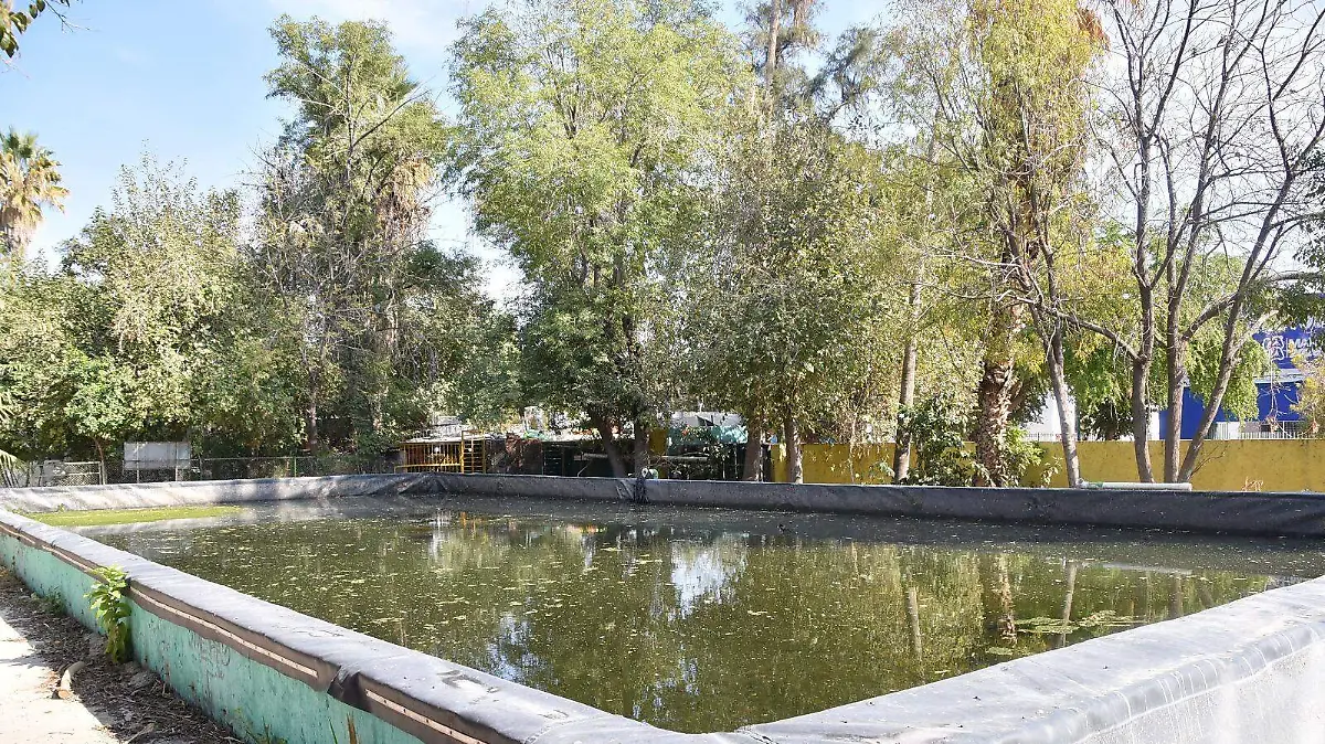 WhatsApp Image 2025-12-15 at 7.07.01 PM (3)