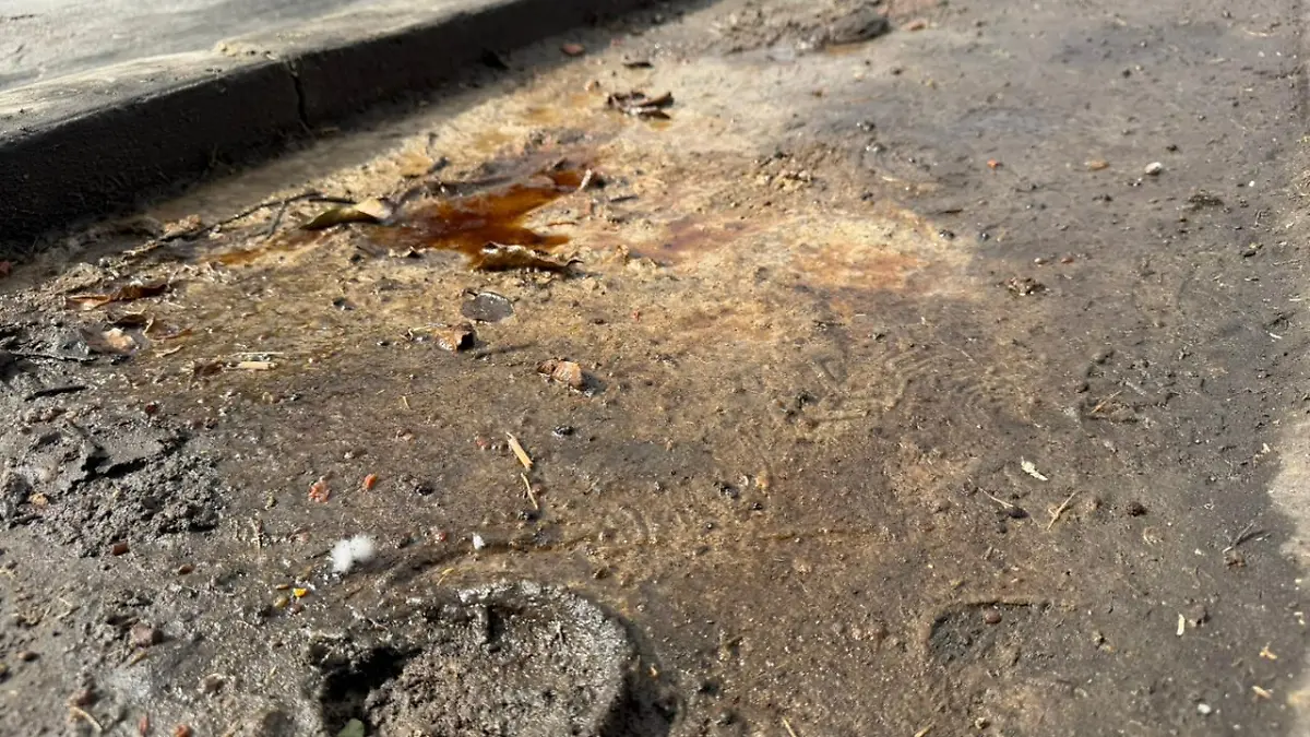 237ff429-adcf-4a41-935a-5634bd74709e