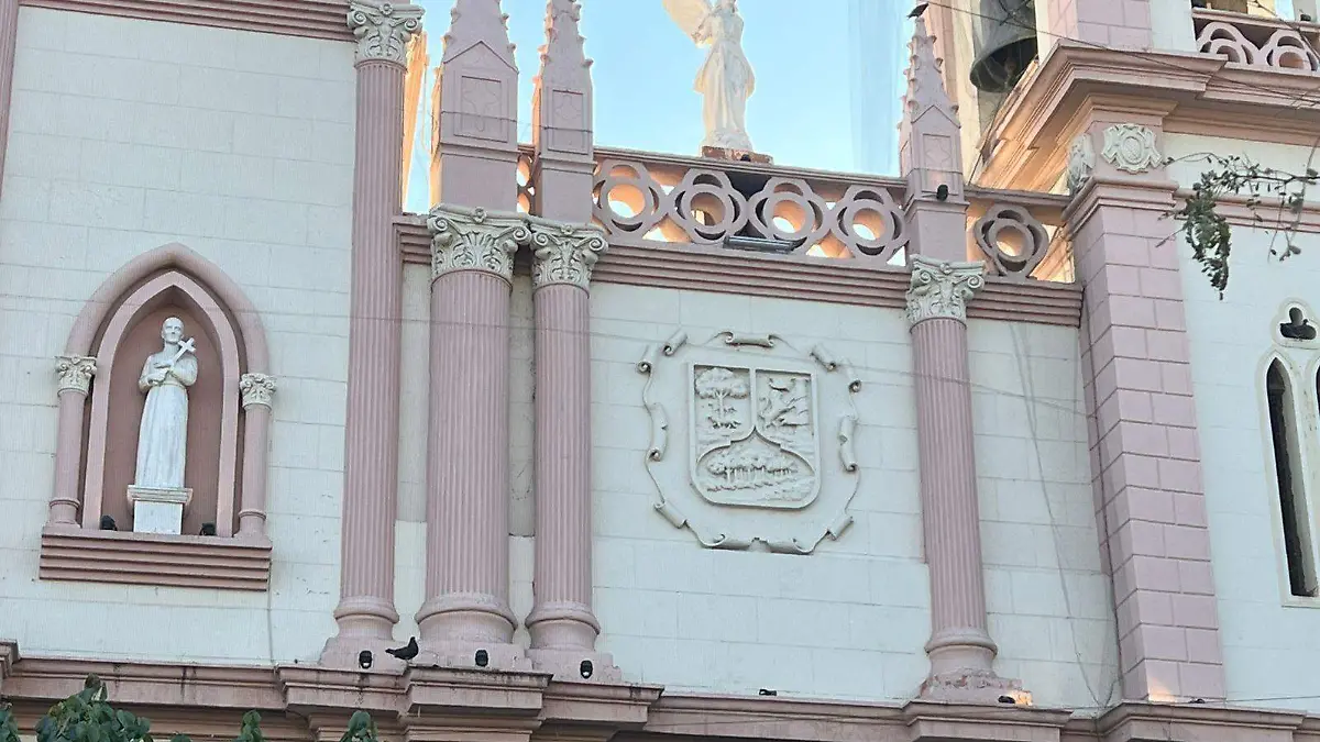 WhatsApp Image 2025-12-17 at 13.00.31