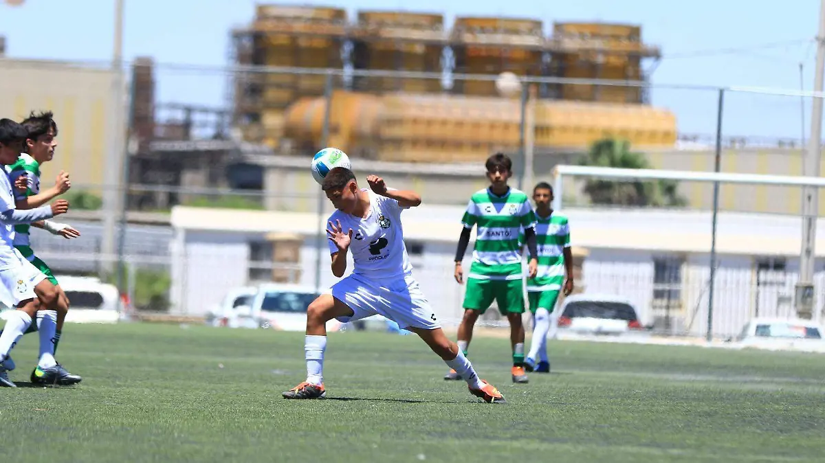 WhatsApp Image 2025-12-17 at 14.28.52