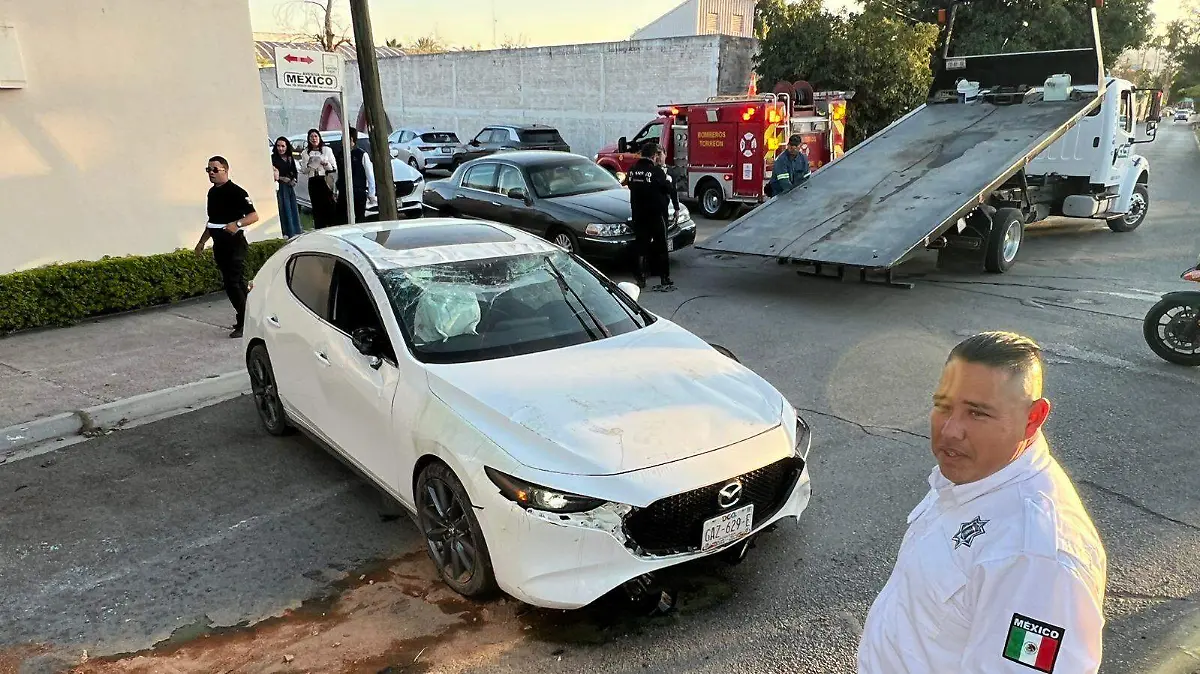 WhatsApp Image 2025-12-17 at 6.01.48 PM (1)