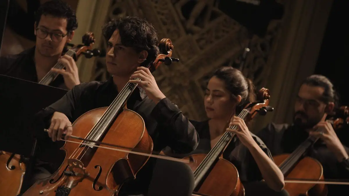 WhatsApp Image 2025-12-17 at 5.41.18 PM