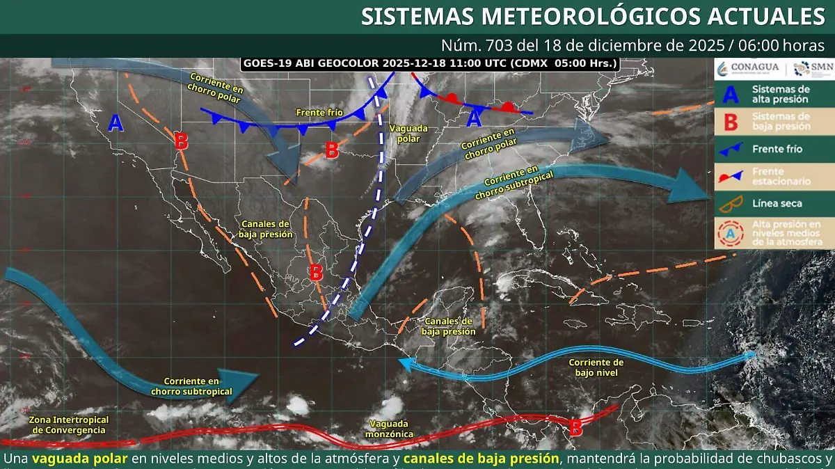 WhatsApp Image 2025-12-18 at 11.03.48