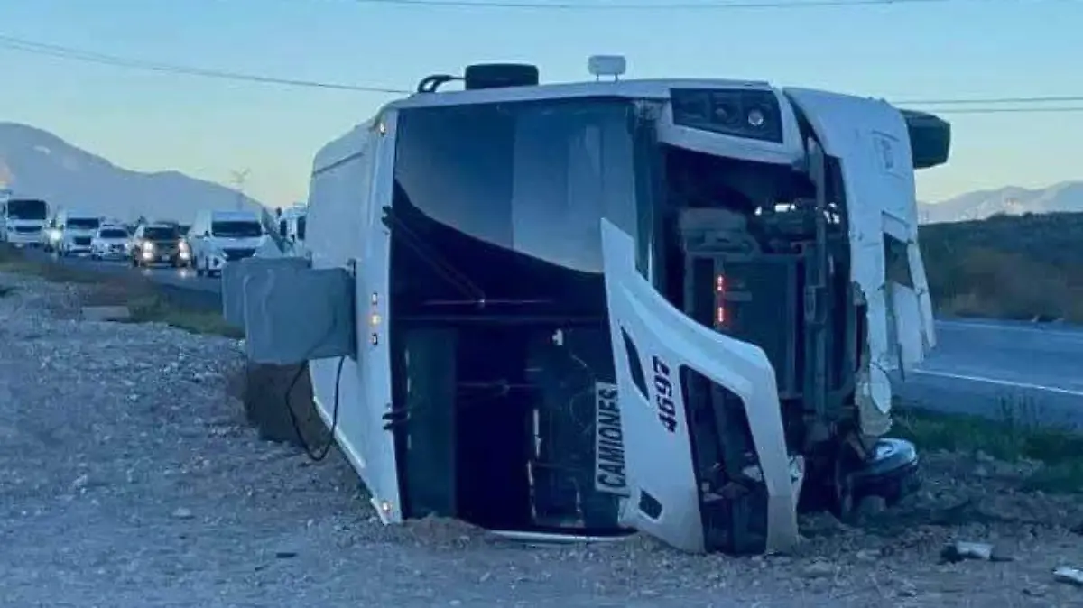 WhatsApp Image 2025-12-18 at 14.12.12 (1)