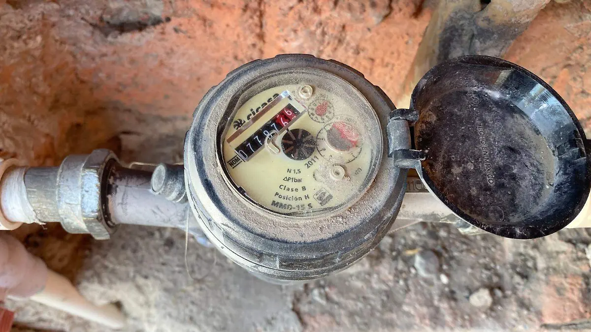 WhatsApp Image 2025-12-18 at 14.59.08