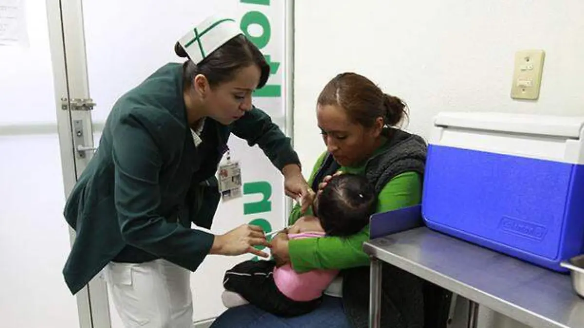 WhatsApp Image 2025-12-19 at 10.55.36 AM