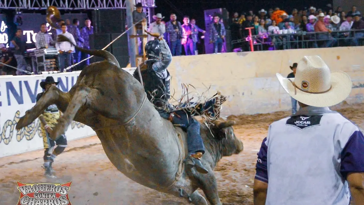 3755b331-704f-408e-8846-753c8970f950