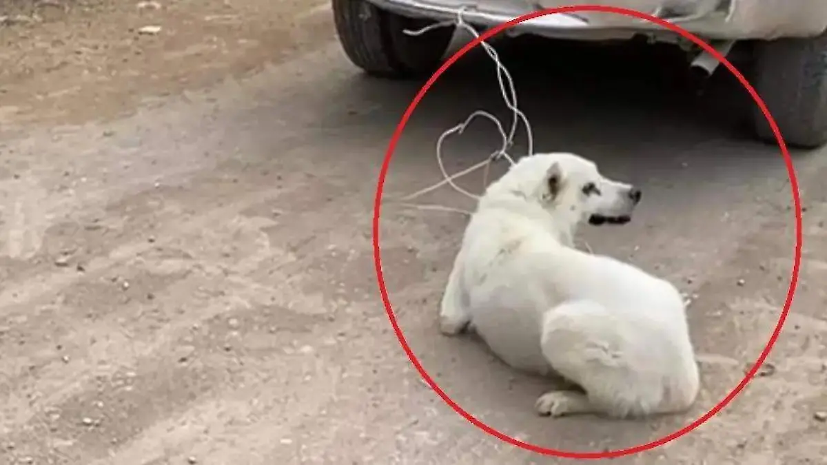 e6a24516-19ac-44dc-b7a6-781483920f84