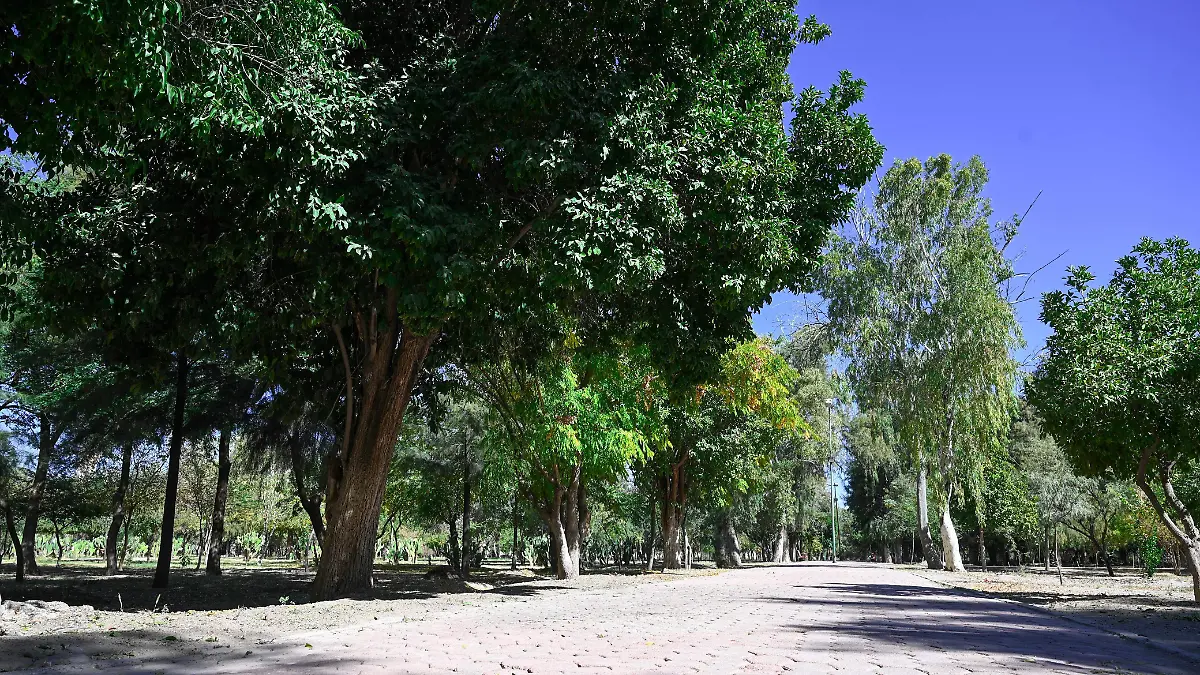 WhatsApp Image 2025-12-22 at 11.02.33