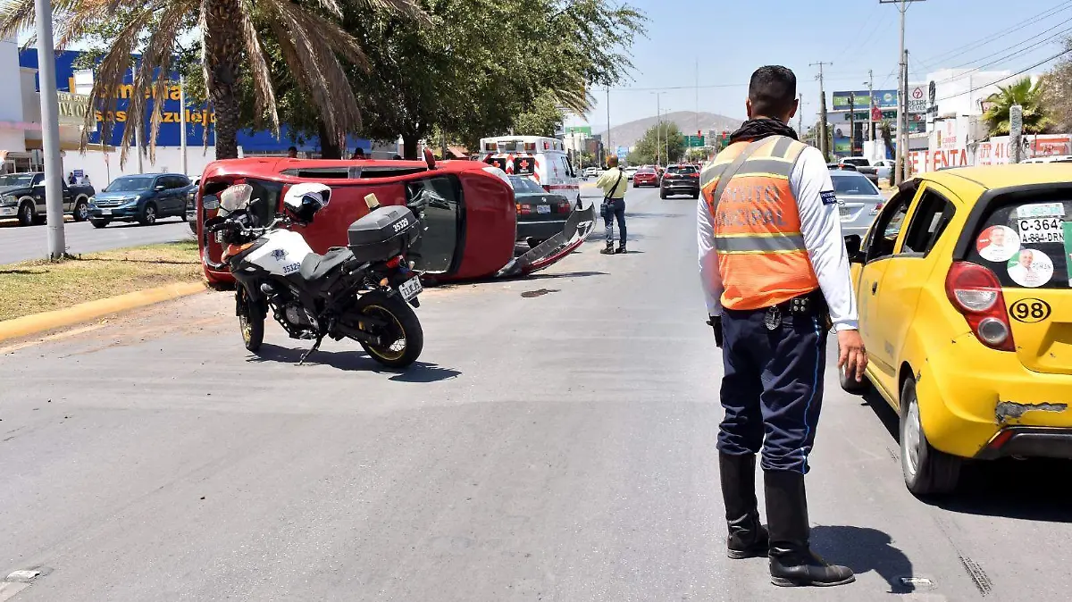 WhatsApp Image 2025-12-22 at 12.54.18