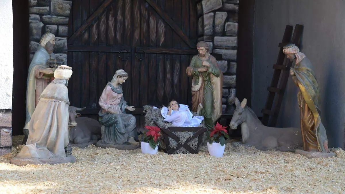 WhatsApp Image 2025-12-24 at 16.03.18