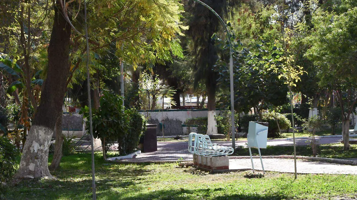 WhatsApp Image 2025-12-24 at 16.03.20