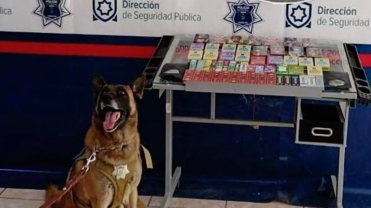 WhatsApp Image 2025-12-26 at 11.00.35