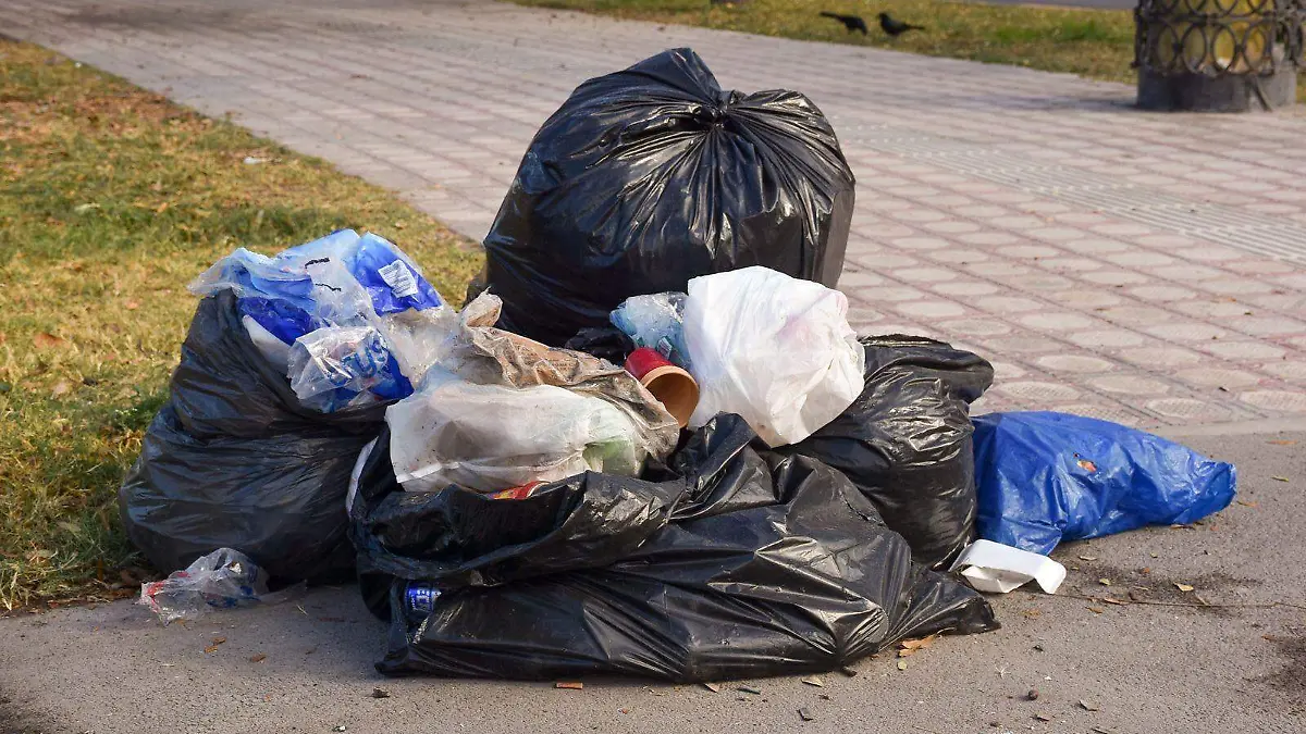 WhatsApp Image 2025-12-26 at 12.53.35