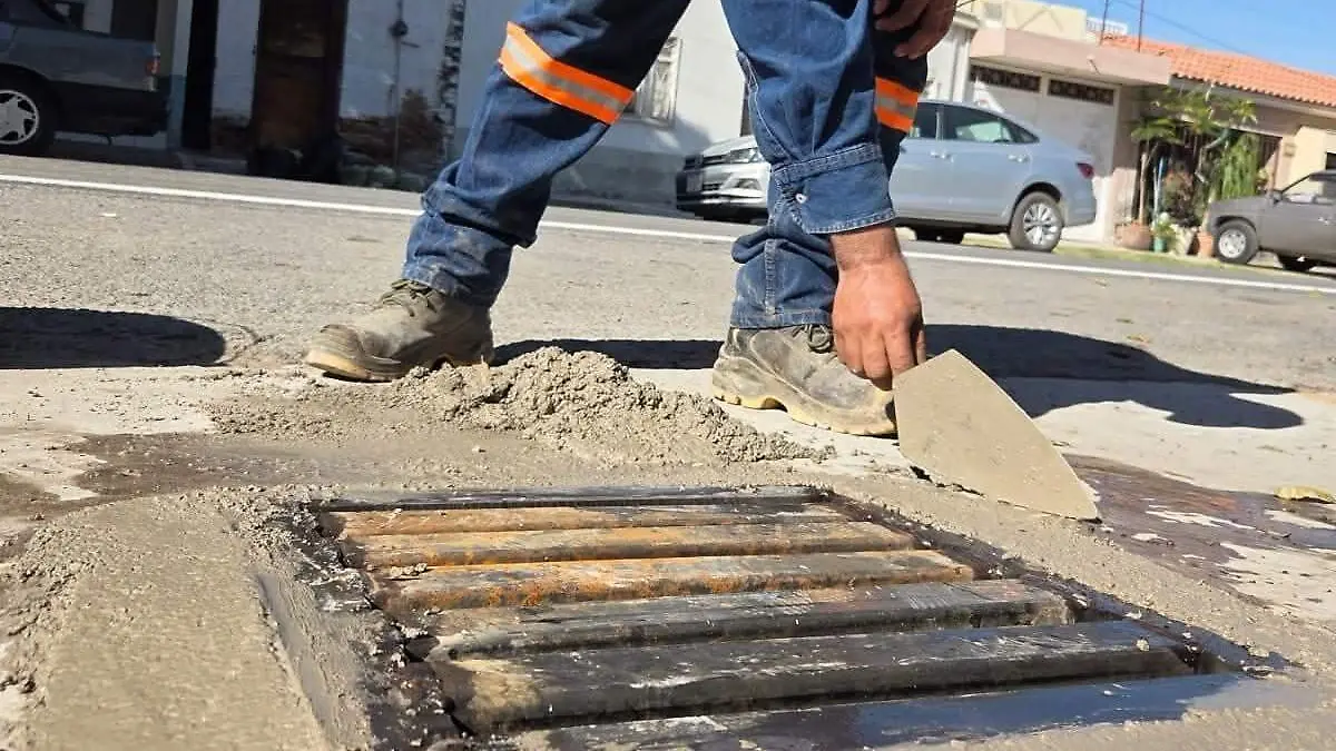 WhatsApp Image 2025-12-28 at 14.58.55